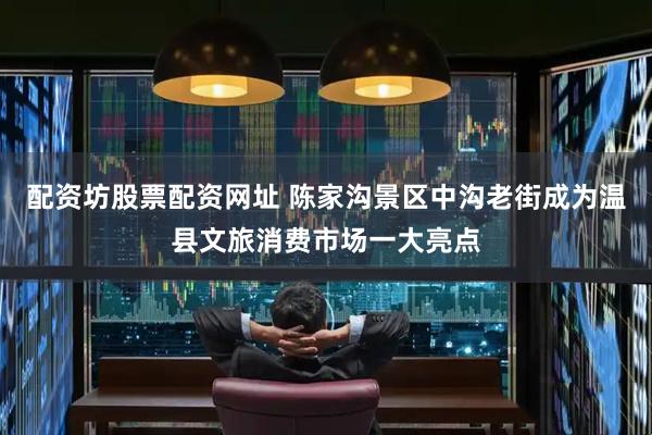 配资坊股票配资网址 陈家沟景区中沟老街成为温县文旅消费市场一大亮点