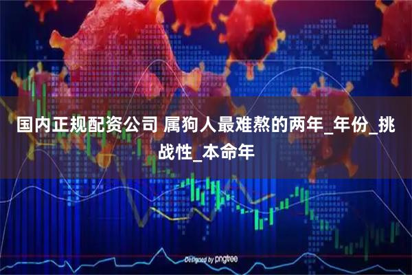 国内正规配资公司 属狗人最难熬的两年_年份_挑战性_本命年