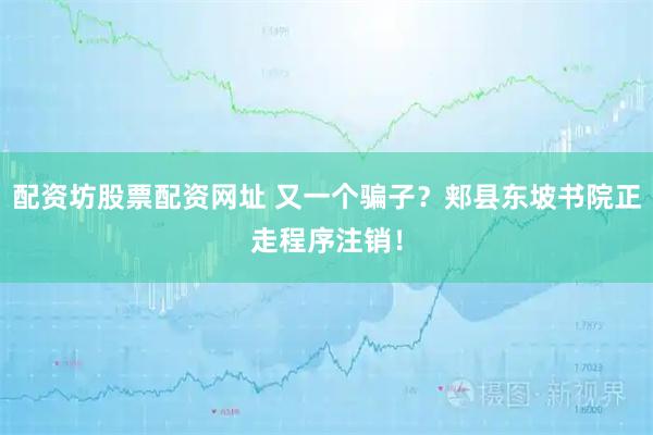 配资坊股票配资网址 又一个骗子？郏县东坡书院正走程序注销！