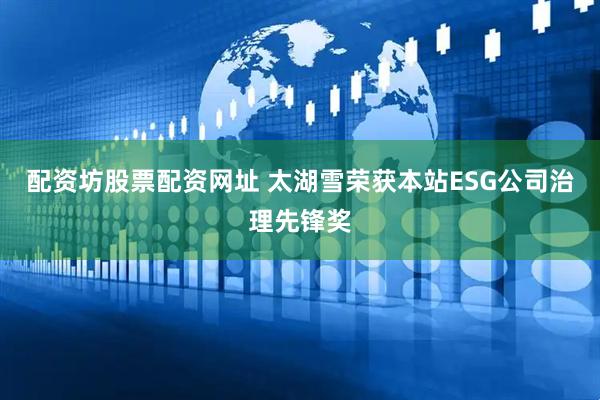 配资坊股票配资网址 太湖雪荣获本站ESG公司治理先锋奖