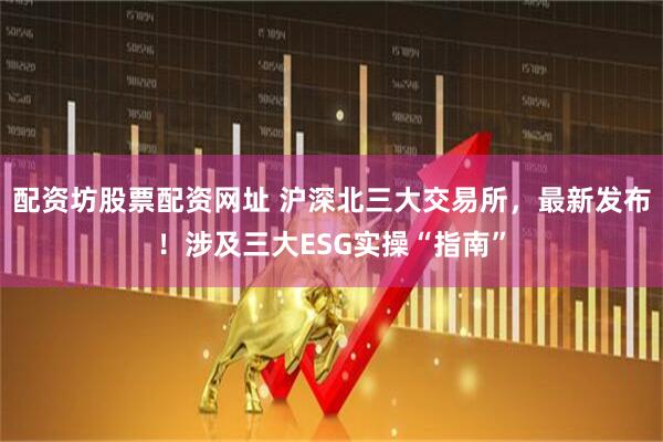 配资坊股票配资网址 沪深北三大交易所，最新发布！涉及三大ESG实操“指南”
