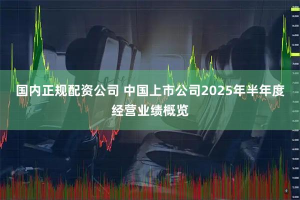 国内正规配资公司 中国上市公司2025年半年度经营业绩概览