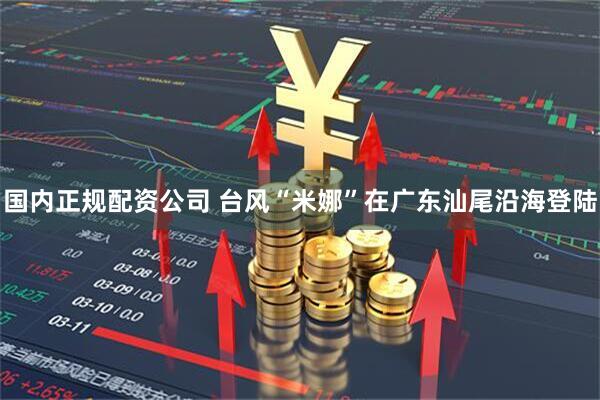 国内正规配资公司 台风“米娜”在广东汕尾沿海登陆