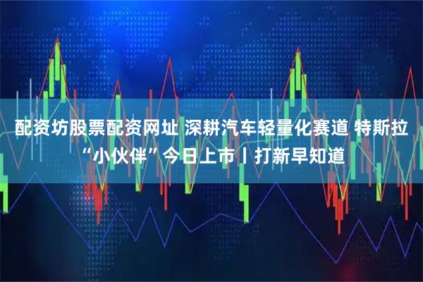 配资坊股票配资网址 深耕汽车轻量化赛道 特斯拉“小伙伴”今日上市丨打新早知道