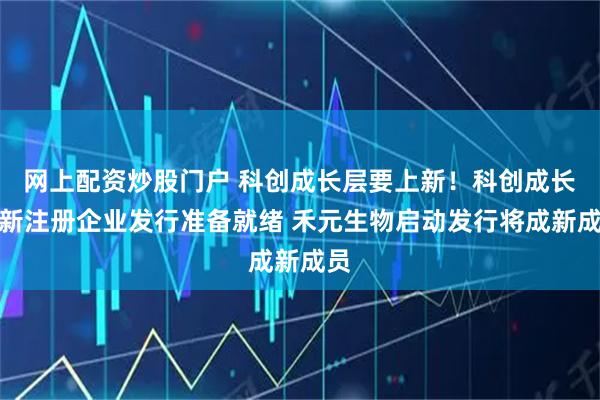 网上配资炒股门户 科创成长层要上新！科创成长层新注册企业发行准备就绪 禾元生物启动发行将成新成员