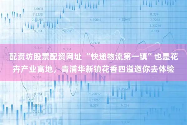 配资坊股票配资网址 “快递物流第一镇”也是花卉产业高地，青浦华新镇花香四溢邀你去体验
